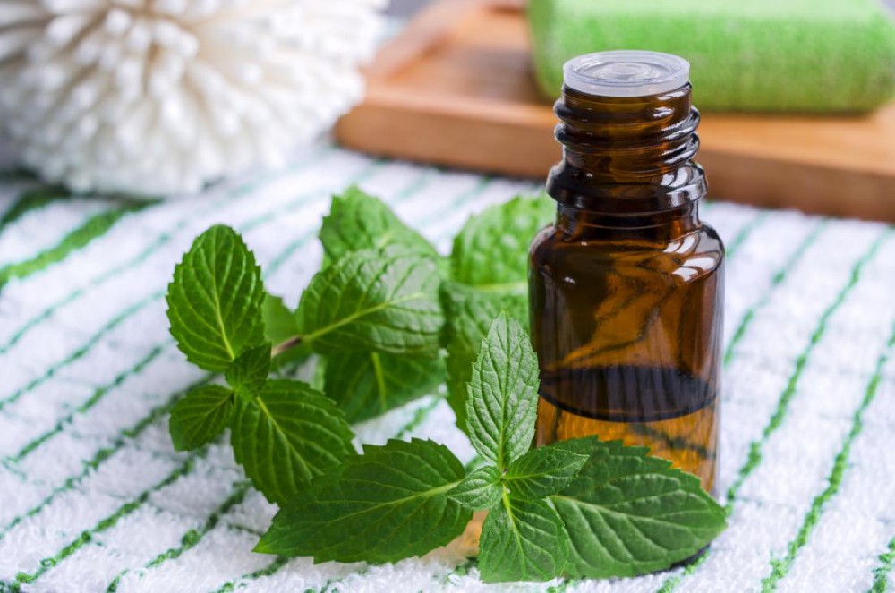 Mint oil