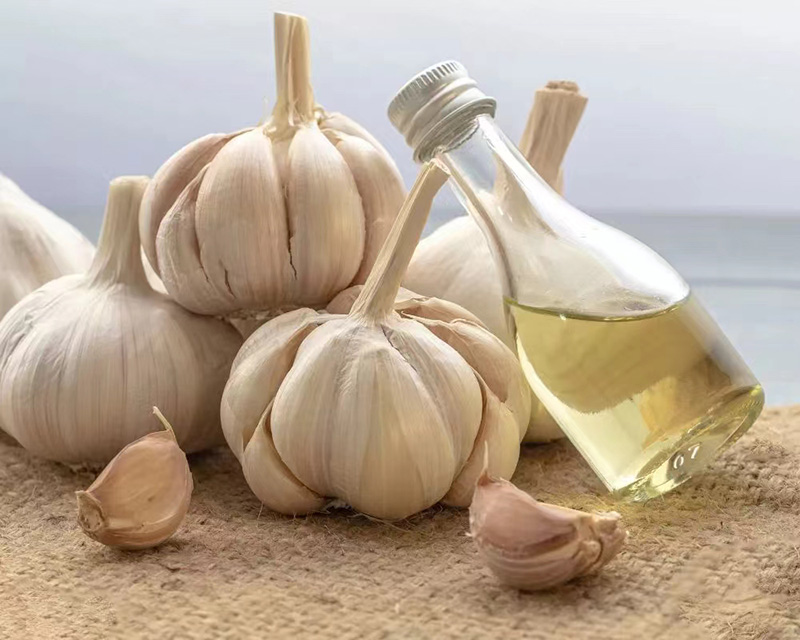 Garlic oil