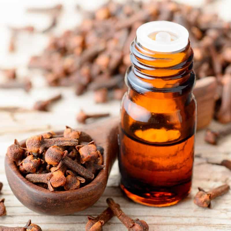 Clove oil