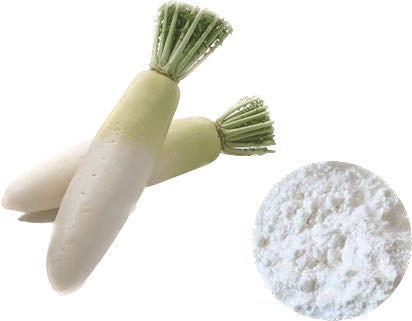 WHITE RADISH POWDER