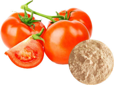 TOMATO POWDER