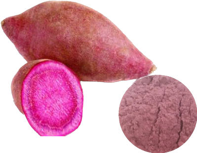 PURPLE POTATO POWDER