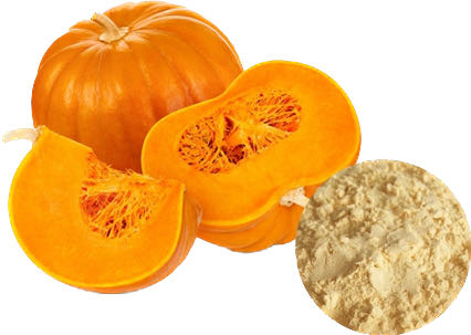 PUMPKIN POWDER