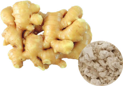 GINGER POWDER