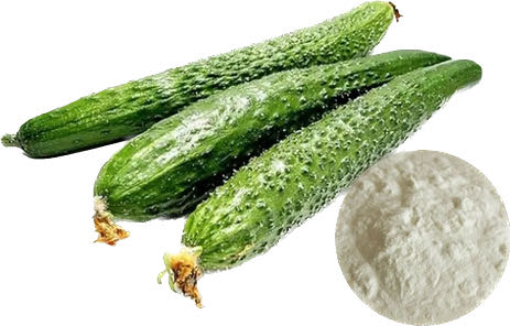 CUCUMBER POWDER