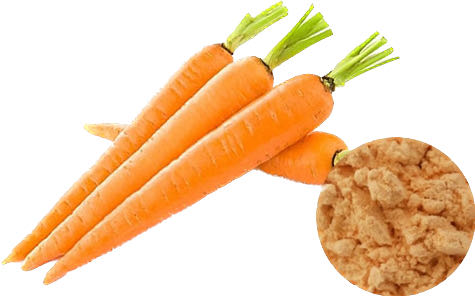 CARROT POWDER