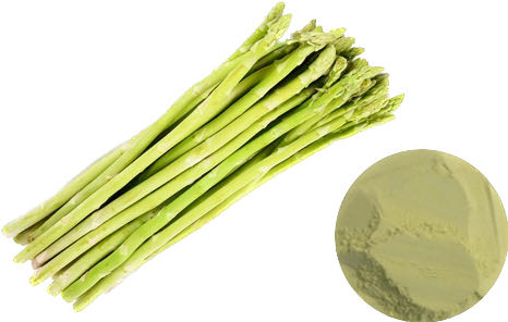 ASPARAGUS POWDER