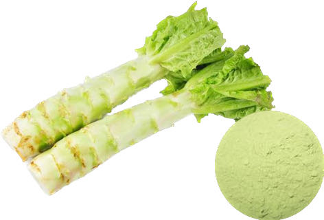 ASPARAGUS LETTUCE POWDER
