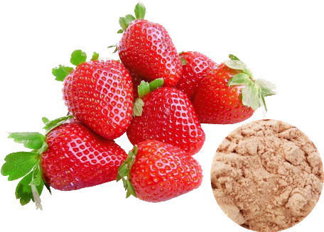 STRAWBERRY POWDER