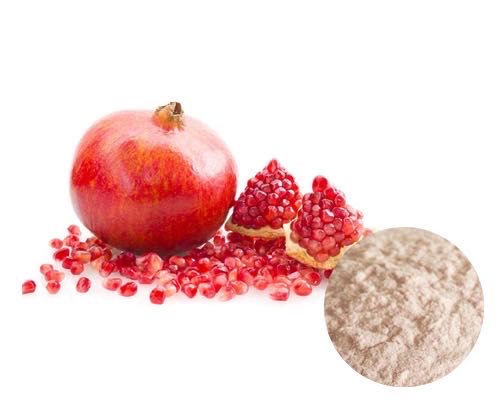 POMEGRANATE POWDER