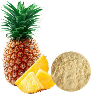 PINEAPPLE POWDER