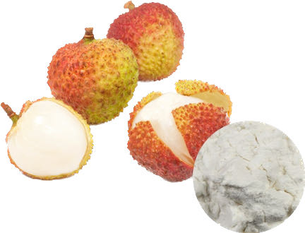 LYCHEE POWDER