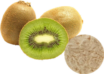 KIWI FRUIT POWDER