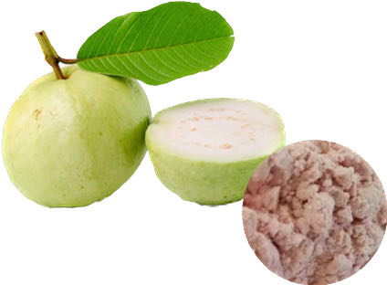 GUAVA POWDER