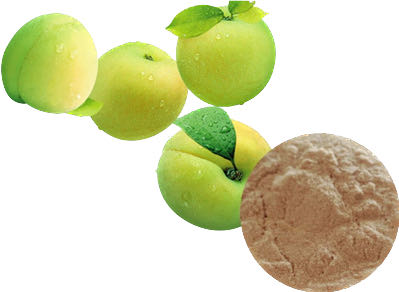 GREEN PLUM POWDER