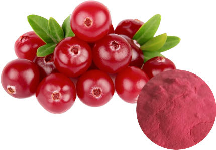 CRANBERRY POWDER