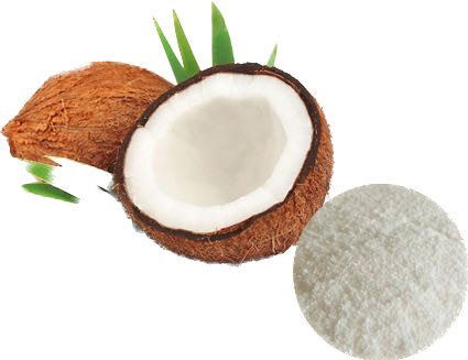 COCONUT POWDER.jpg