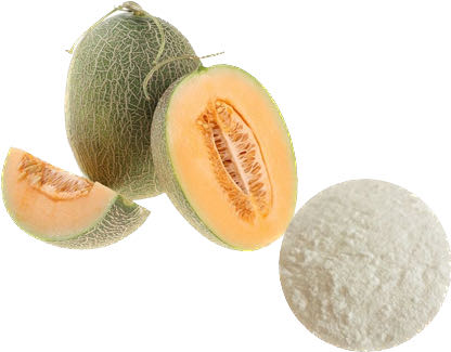 CANTALOUPE POWDER