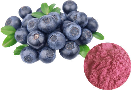 BLUEBERRY POWDER