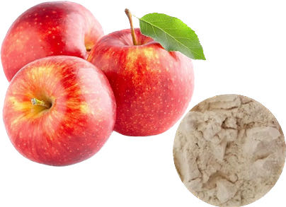 APPLE POWDER