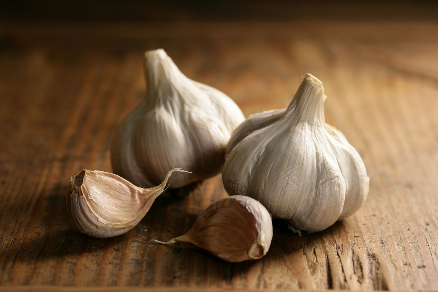 garlic