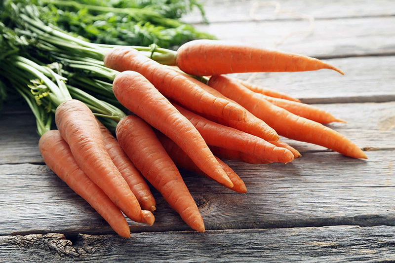 carrot