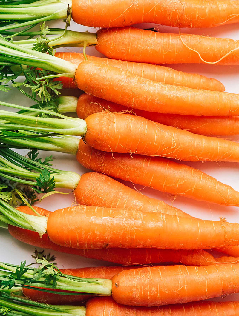 carrot