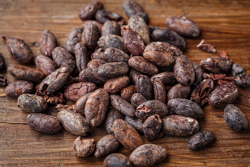 Cocoa seeds