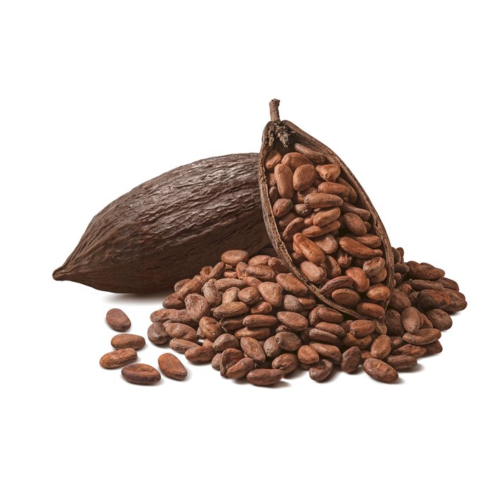 Cocoa seeds