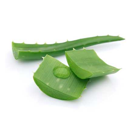 aloe