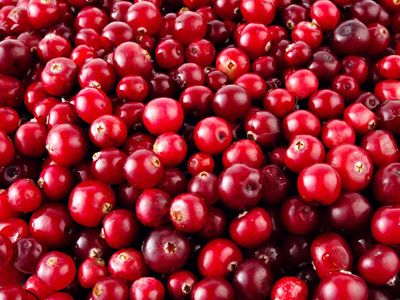 cranberry