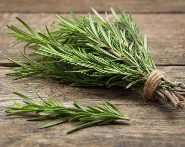 rosemary