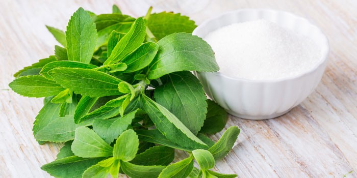 Stevia rebaudiana