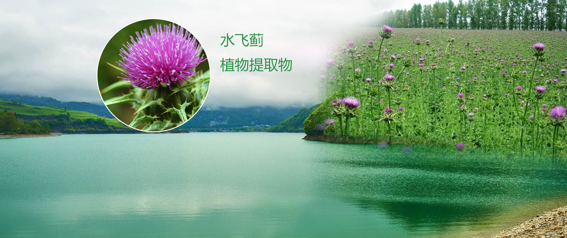 首页banner1